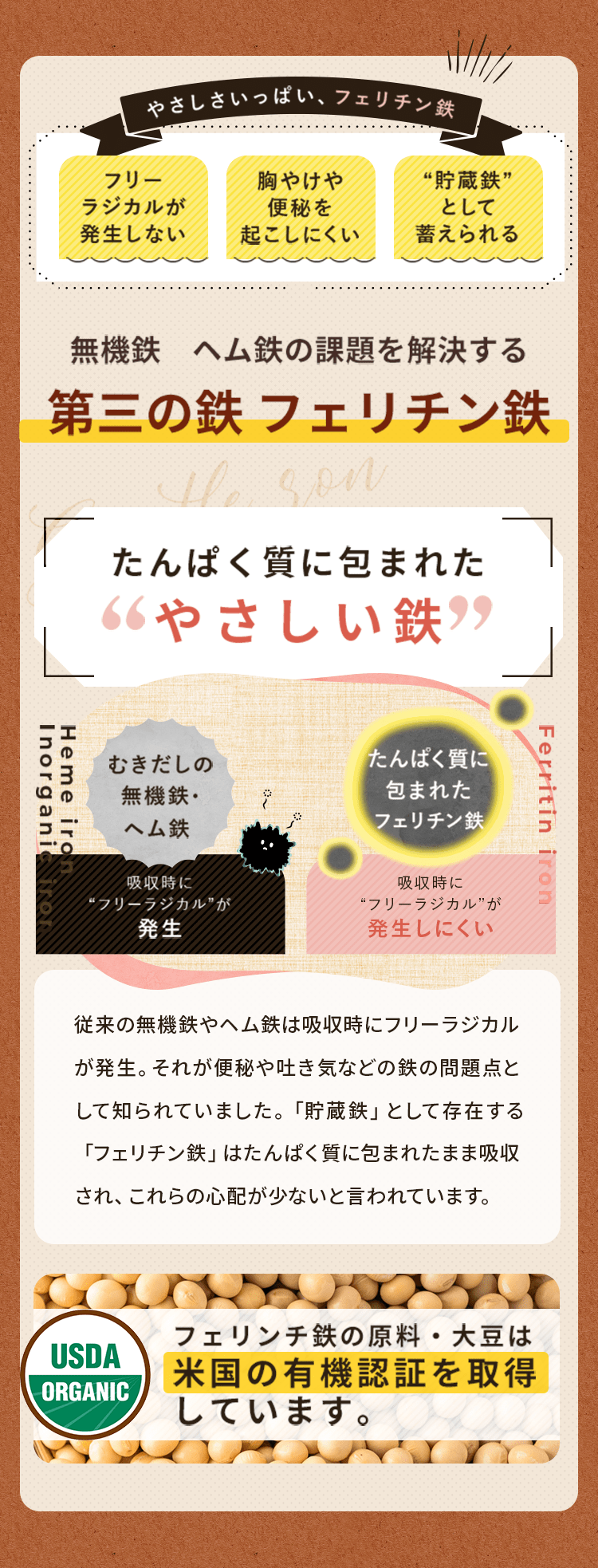 無機鉄 ヘヘム鉄の課題を解決する 第三の鉄 フェリチン鉄